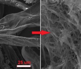 Image showing the size reduction of microscopic cellulosic fiber into nanometric after the defibrillation process. Purity was assessed by EDS.