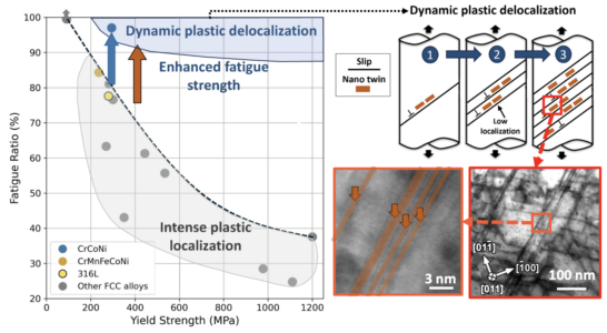 Novel identified mechanisms of dynamic plastic delocalization in metal enabled by competing deformation mechanisms to significantly enhance fatigue performance of metallic materials.