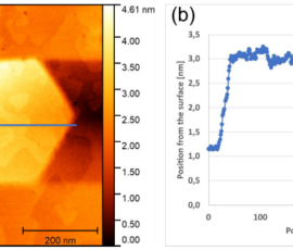 AFM measurement showing (a) the island defects and terraces on the surface previously observed during the SEM imaging and (b) height profile along the blue line in (a) on the MOVPE-grown sample from OVGU.
