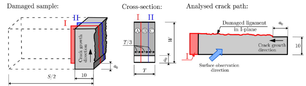 Schematic illustration of post-test damage analysis using optical microscopy.
